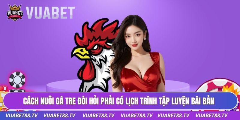 Cách nuôi gà tre đòi hỏi phải có lịch trình tập luyện bài bản