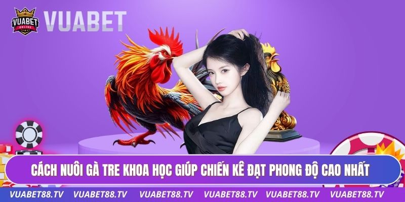 Cách nuôi gà tre khoa học giúp chiến kê đạt phong độ cao nhất