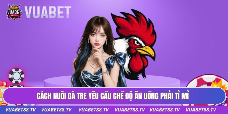 Cách nuôi gà tre yêu cầu chế độ ăn uống phải tỉ mỉ