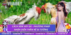 cách xem vảy gà