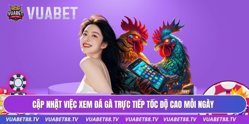 Cập nhật việc xem đá gà trực tiếp tốc độ cao mỗi ngày