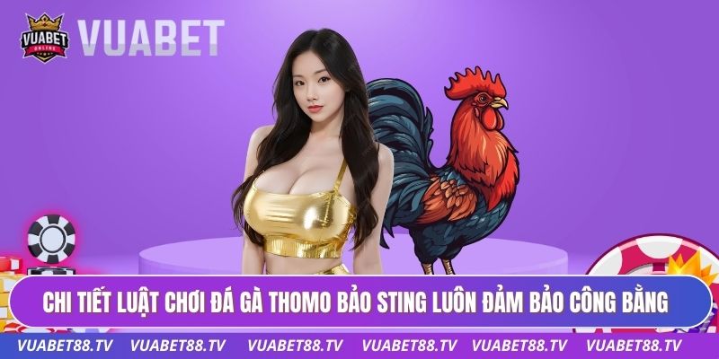 Chi tiết luật chơi đá gà thomo bảo sting luôn đảm bảo công bằng