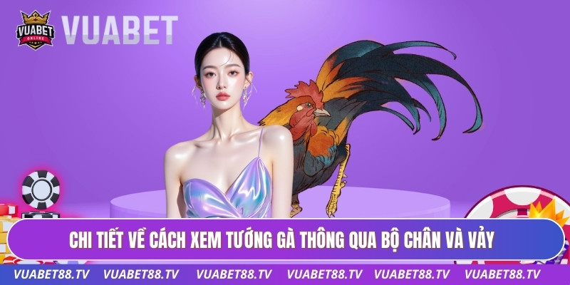Chi tiết về cách xem tướng gà thông qua bộ chân và vảy