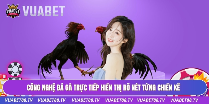 Công nghệ đá gà trực tiếp hiển thị rõ nét từng chiến kê