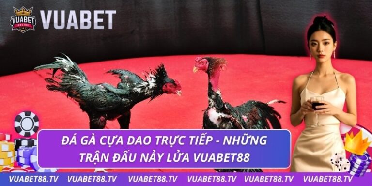 đá gà cựa dao trực tiếp