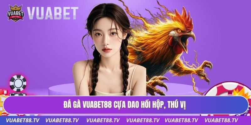 Đá gà Vuabet88 cựa dao hồi hộp, thú vị