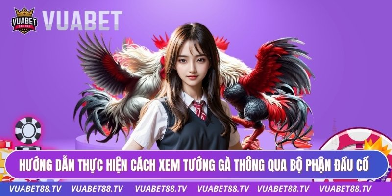 Hướng dẫn thực hiện cách xem tướng gà thông qua bộ phận đầu cổ