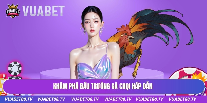 Khám phá đầu trường gà chọi hấp dẫn