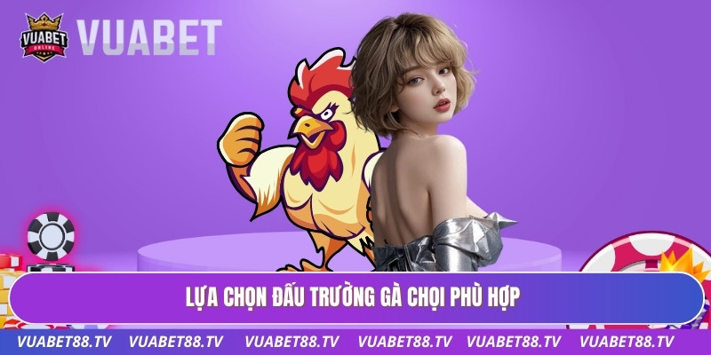 Lựa chọn đấu trường gà chọi phù hợp