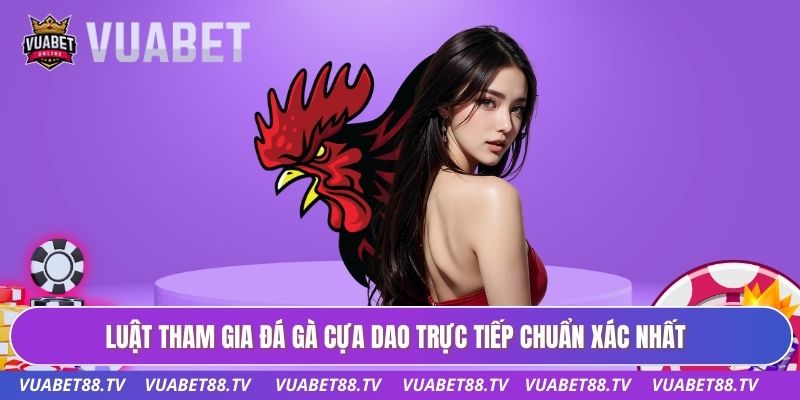 Luật tham gia đá gà cựa dao trực tiếp chuẩn xác nhất