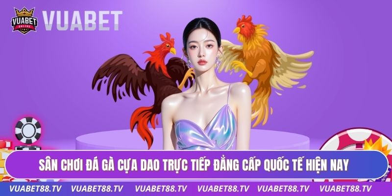Sân chơi đá gà cựa dao trực tiếp đẳng cấp quốc tế hiện nay