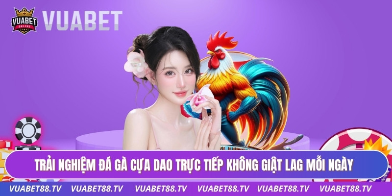 Trải nghiệm đá gà cựa dao trực tiếp không giật lag mỗi ngày
